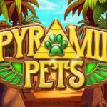 Pyramid Pets Slots Freeroll